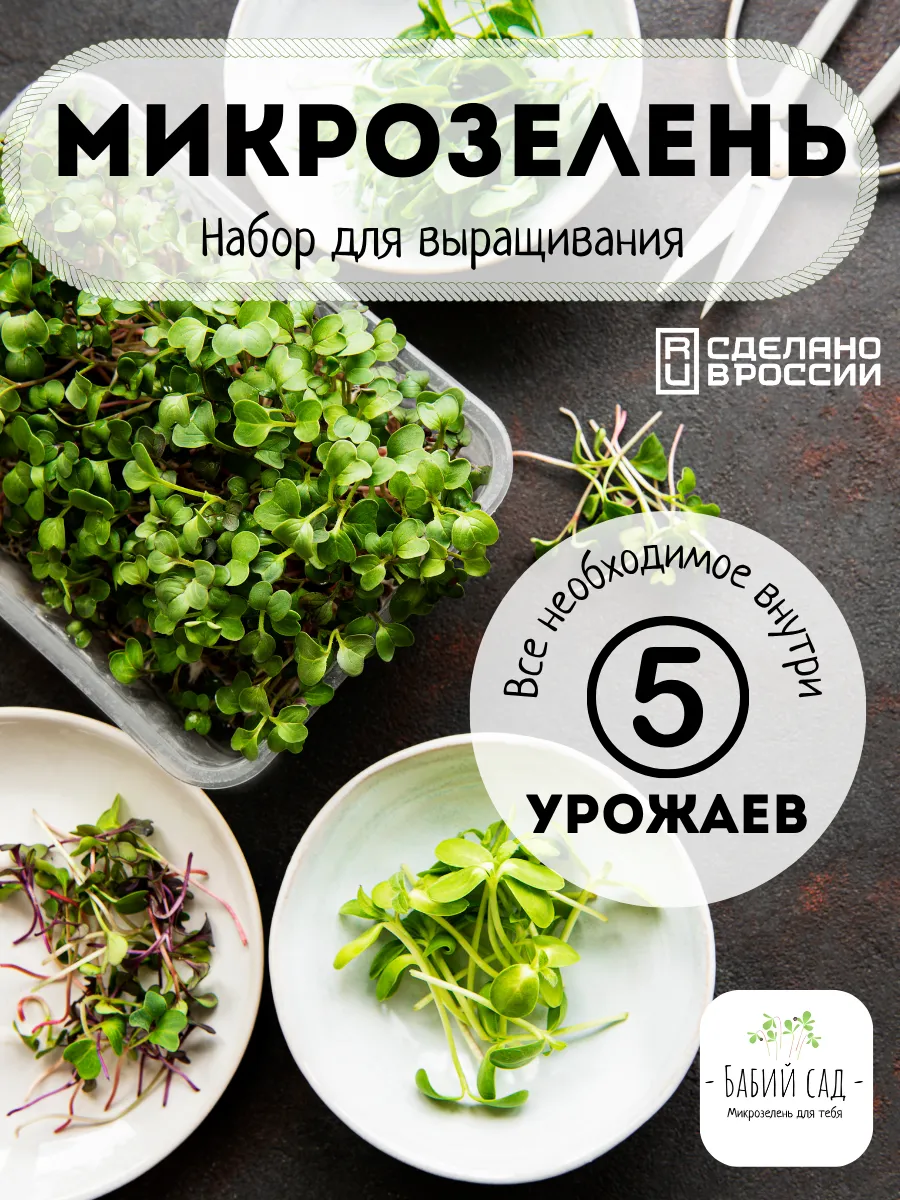 Набор для выращивания микрозелени семена микрозелень