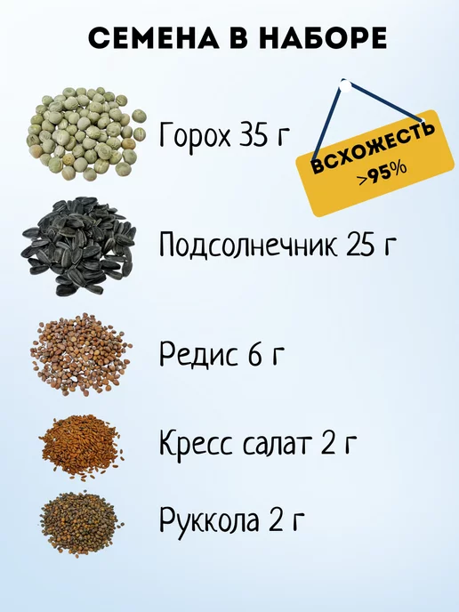 Бабий сад Набор для выращивания микрозелени семена микрозелень, 5 шт, фото 3