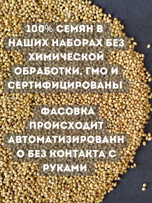 Бабий сад Набор для выращивания микрозелени семена микрозелень, 5 шт, фото 4