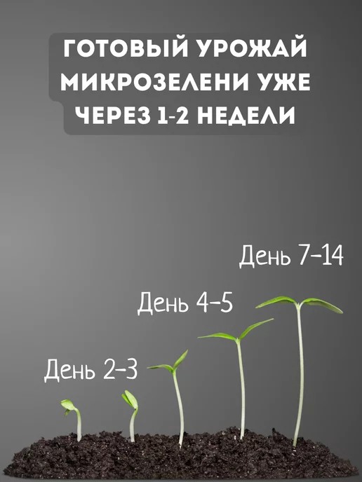 Бабий сад Набор для выращивания микрозелени семена микрозелень, 5 шт, фото 6