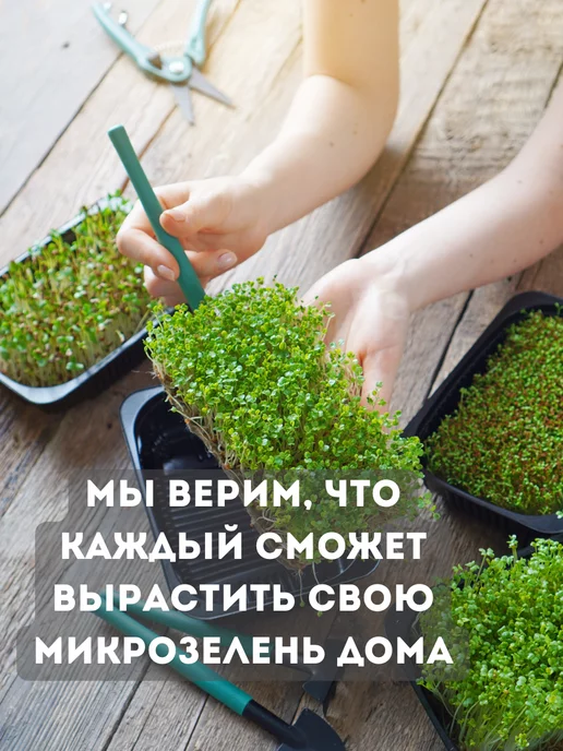 Бабий сад Набор для выращивания микрозелени семена микрозелень, 5 шт, фото 7