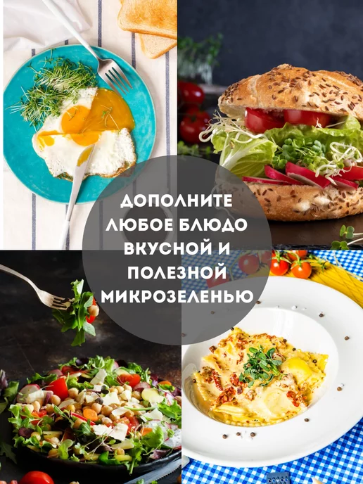Бабий сад Набор для выращивания микрозелени семена микрозелень, 5 шт, фото 8