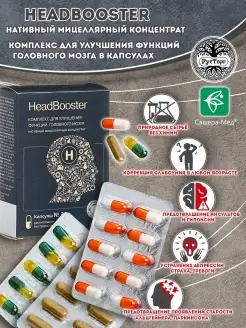 HeadBooster (Хэдбустер), 30 капсул Сашера Мед 64913816 купить за 502 ₽ в интернет-магазине Wildberries