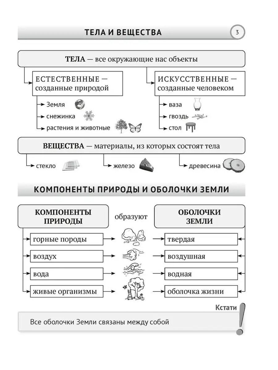 Человек и мир. 5 класс. Опорные конспекты Аверсэв 64968630 купить за 239 ₽  в интернет-магазине Wildberries