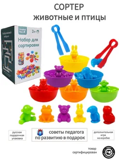 Развивающие игры монтессори сортер с пинцетом Oreshek.toys 64977073 купить за 566 ₽ в интернет-магазине Wildberries