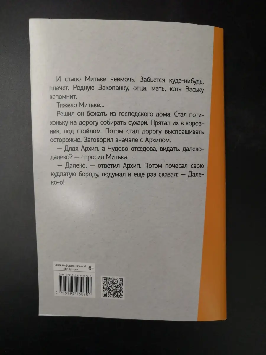 Алексеев С. / История крепостного мальчика Стрекоза 65063965 купить за 367  ₽ в интернет-магазине Wildberries