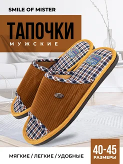 Тапочки домашние Smile of Mister 65066662 купить за 439 ₽ в интернет-магазине Wildberries