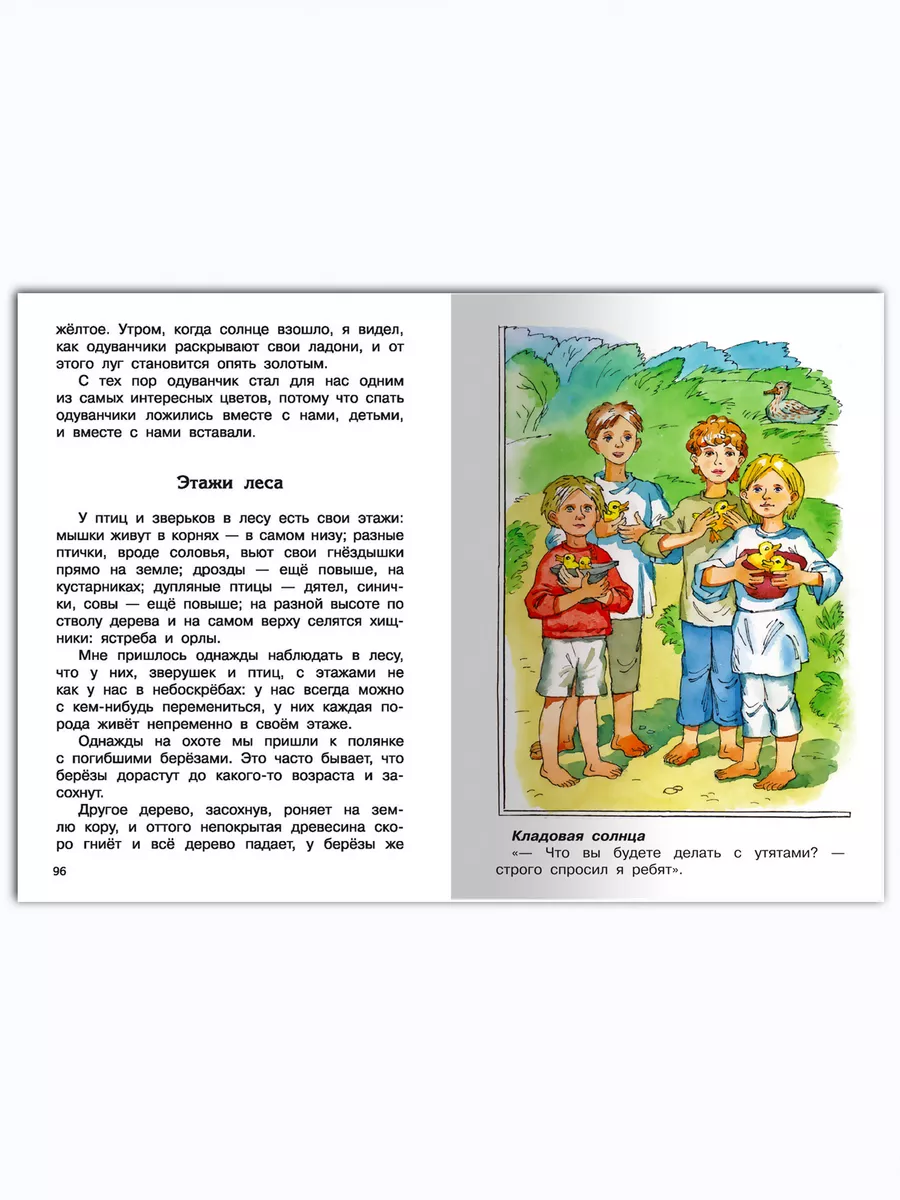 Пришвин М.М. Кладовая солнца. Внеклассное чтение Омега-Пресс 65075513  купить за 369 ₽ в интернет-магазине Wildberries