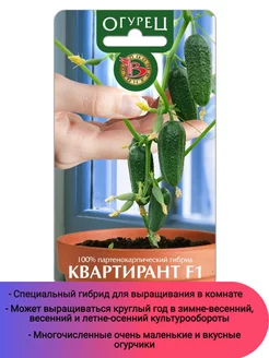 Семена Огурец Квартирант F1 Биотехника 65094321 купить за 164 ₽ в интернет-магазине Wildberries