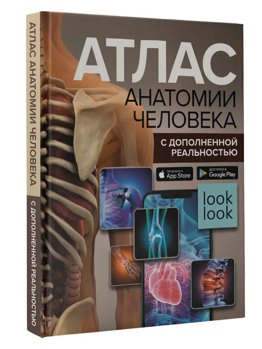 Атлас анатомии человека с...