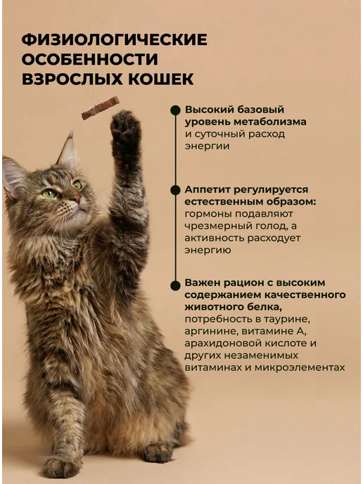 Сухой корм Farmina. Кошек Черникой для собак, ягненок, 5 кг, фото 4