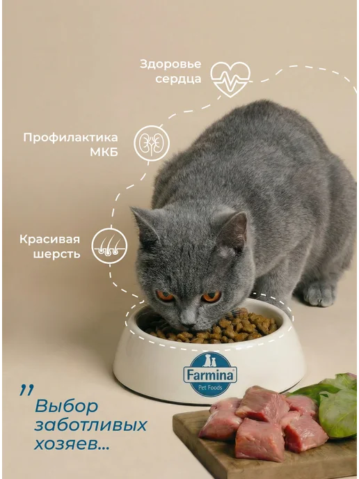 Сухой корм Farmina. Кошек Черникой для собак, ягненок, 5 кг, фото 6