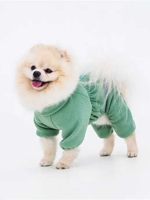 Pup Art Одежда для собак мелких и средних пород, зеленый
