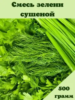 Смесь зелени сушеной (укроп петрушка лук) - 500 грамм Bazaar 65287801 купить за 533 ₽ в интернет-магазине Wildberries