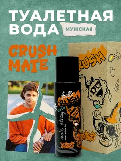 Духи подростковые мужские CRUSH MATE Parli Parfum 65480378 купить за 525 ₽ в интернет-магазине Wildberries