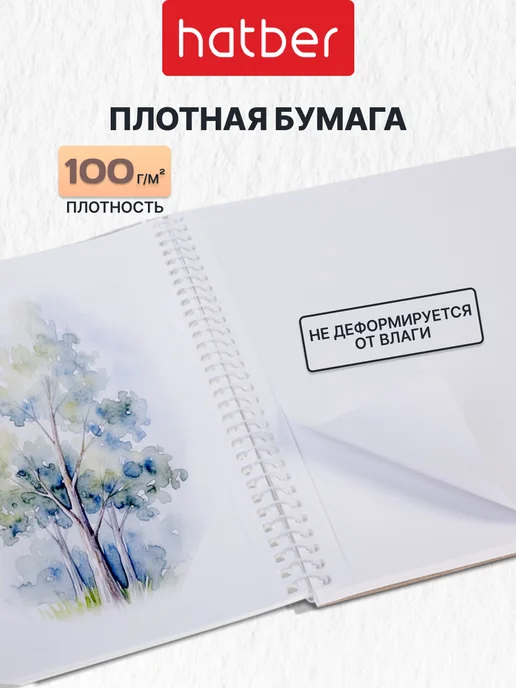 Hatber Альбомы для рисования А4 40 листов 2 штуки для малышей, белый, фото 2