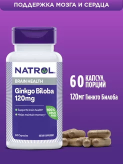 Гинкго билоба, Ginkgo Biloba, витамины для памяти, 60 кап Natrol 65543313 купить за 2 499 ₽ в интернет-магазине Wildberries