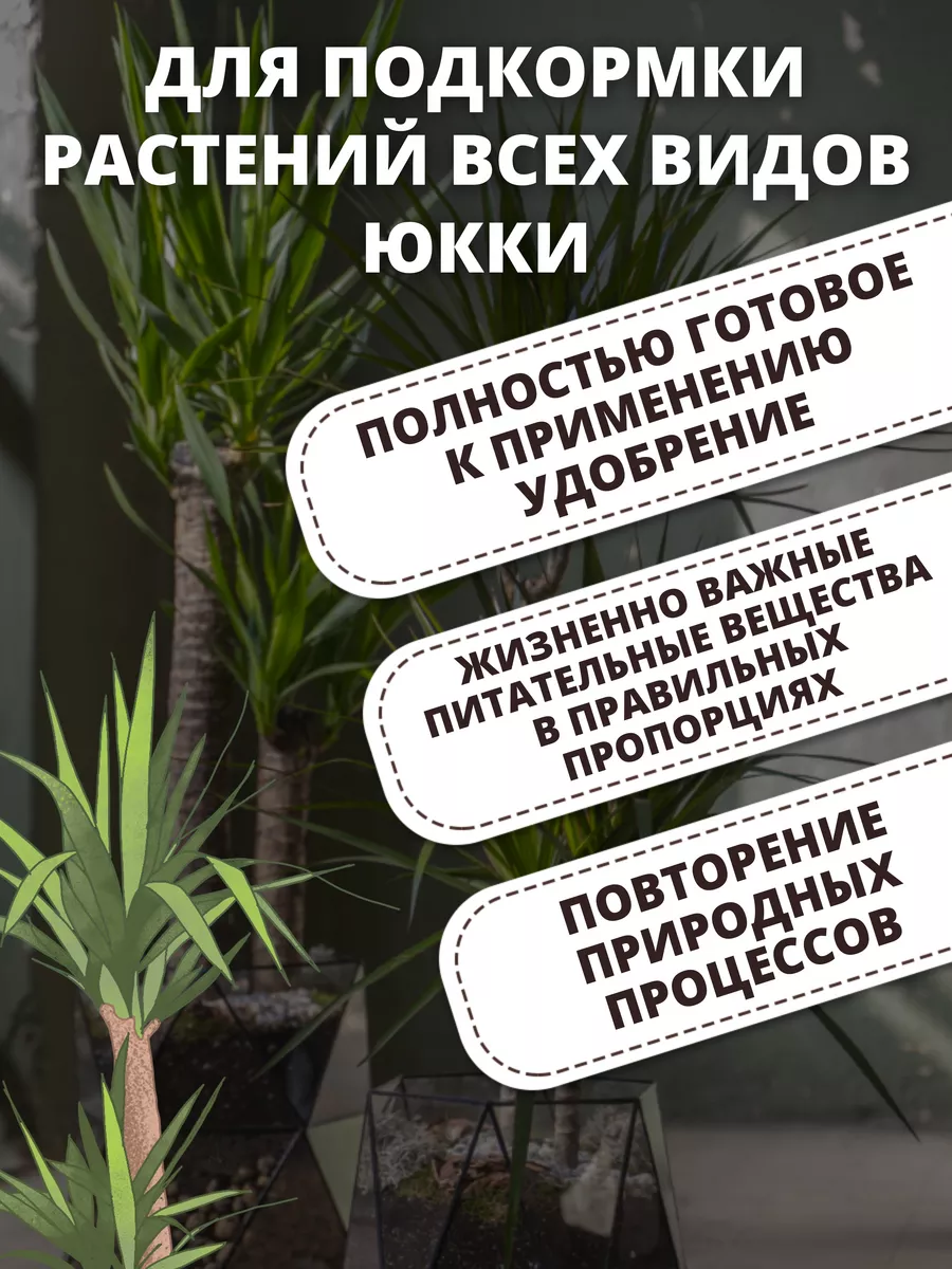 Удобрение для Юкки 250мл БИОАБСОЛЮТ 65567923 купить за 159 ₽ в  интернет-магазине Wildberries