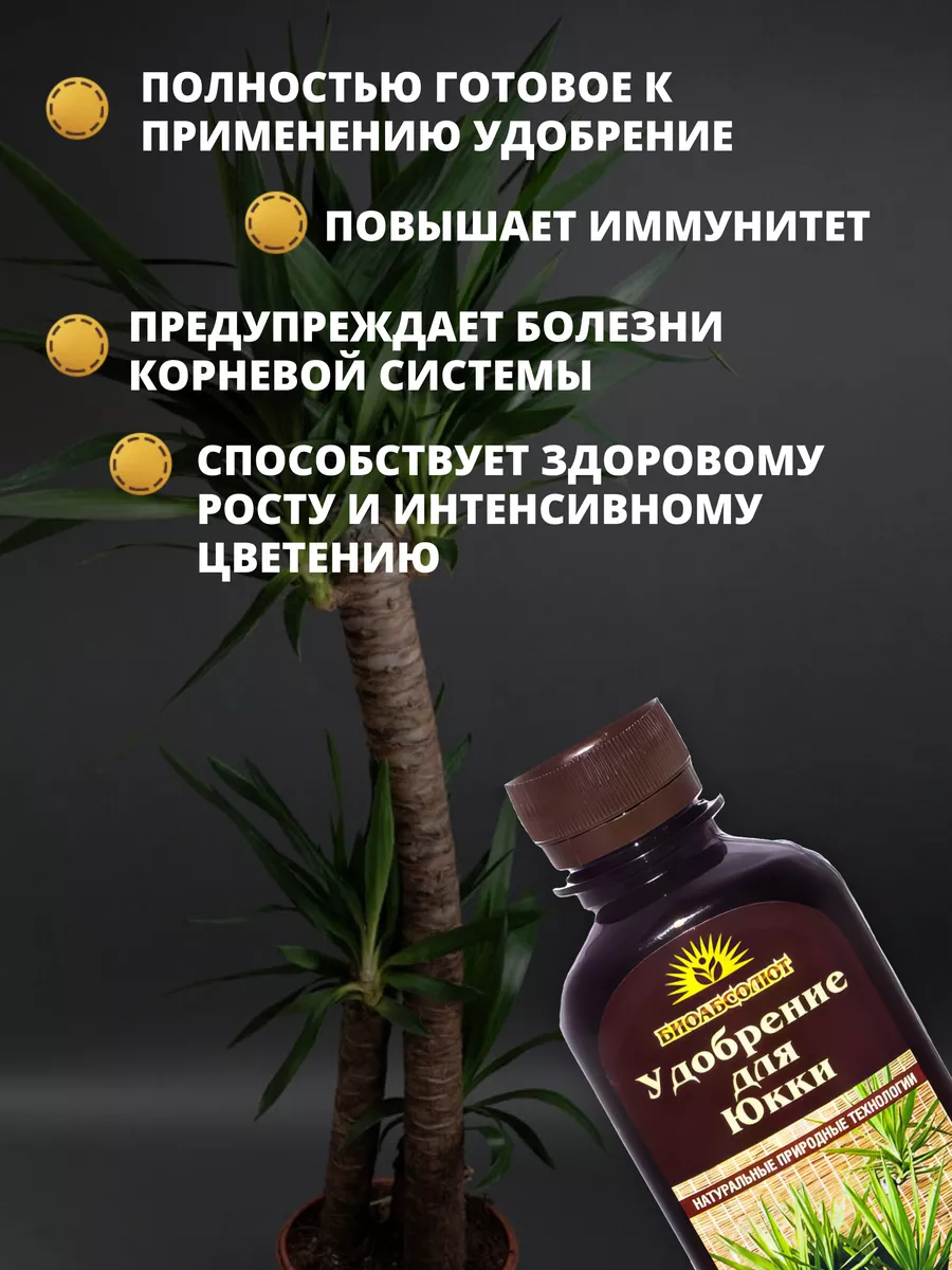 Удобрение для Юкки 250мл БИОАБСОЛЮТ 65567923 купить за 159 ₽ в  интернет-магазине Wildberries