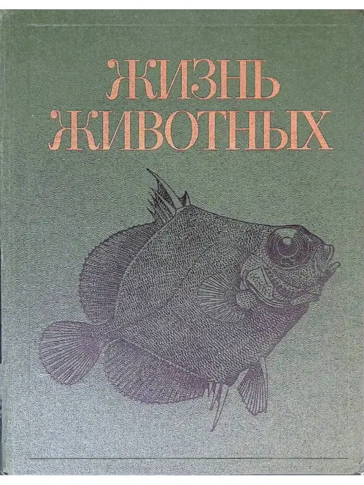 Просвещение Жизнь животных в 7 томах. Том 4. Ланцетники. Круглоротые. Хр…