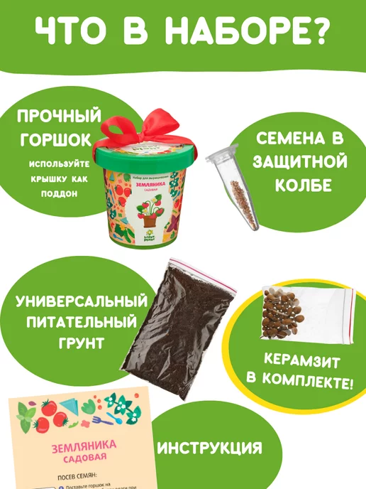 Happy Plants Набор для выращивания растений Земляника, вариант, фото 3
