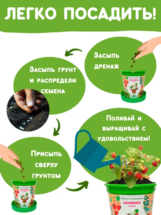 Happy Plants Набор для выращивания растений Земляника, вариант, фото 4