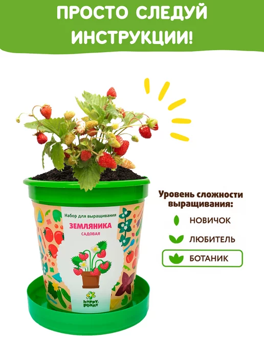 Happy Plants Набор для выращивания растений Земляника, вариант, фото 5