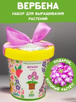 Набор для выращивания растений Вырасти сам цветы Вербена Happy Plants 65660597 купить за 356 ₽ в интернет-магазине Wildberries