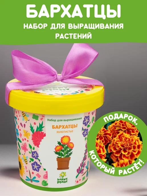 Happy Plants Набор для выращивания растений Вырасти сам цветы Бархатцы