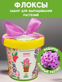 Набор для выращивания растений и цветов Флоксы Happy Plants 65660604 купить за 285 ₽ в интернет-магазине Wildberries