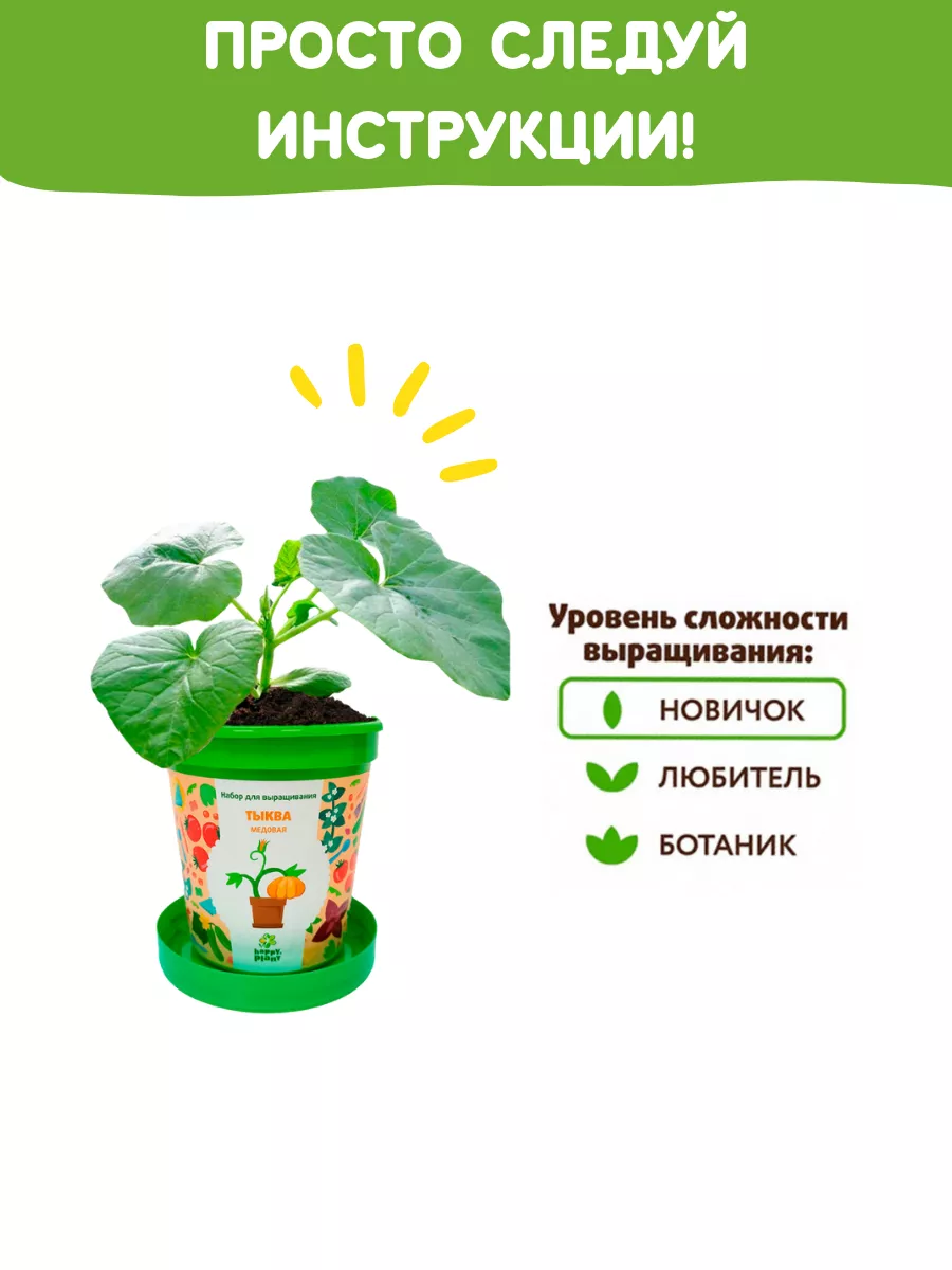 Набор для выращивания растений Вырасти сам овощи Тыква Happy Plants  65660605 купить за 348 ₽ в интернет-магазине Wildberries