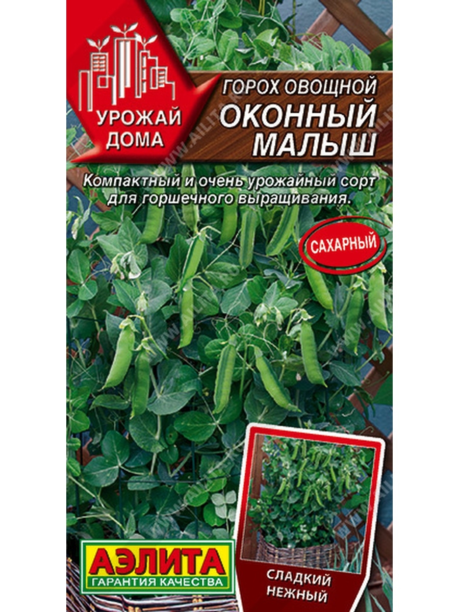 Горох Оконный малыш- Урожай дома Агрофирма Аэлита 65686618 купить за 167 ₽  в интернет-магазине Wildberries