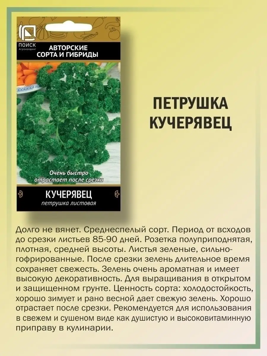 Семена зелени и салатов для огорода и подоконника набор Агрохолдинг Поиск  65727005 купить за 243 ₽ в интернет-магазине Wildberries