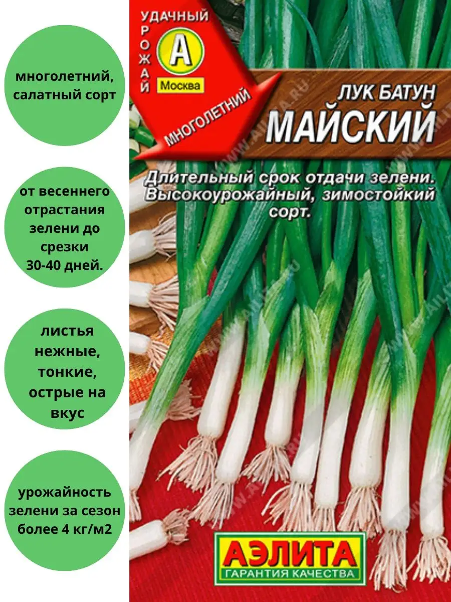 Лук Майский батун Агрофирма Аэлита 65780318 купить за 102 ₽ в  интернет-магазине Wildberries