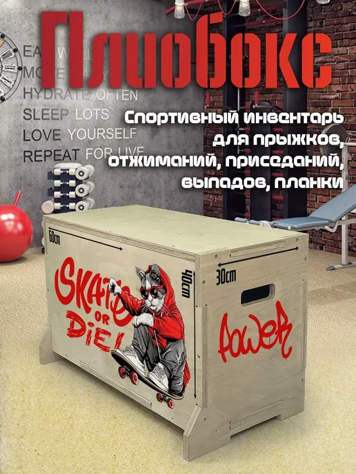 Герои Котик спорт скейтборд мотивация граффити, вариант