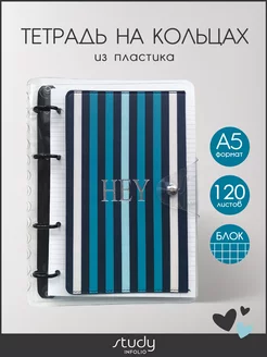 Блочная тетрадь на кольцах А5 пластик Infolio Study 65853221 купить за 524 ₽ в интернет-магазине Wildberries