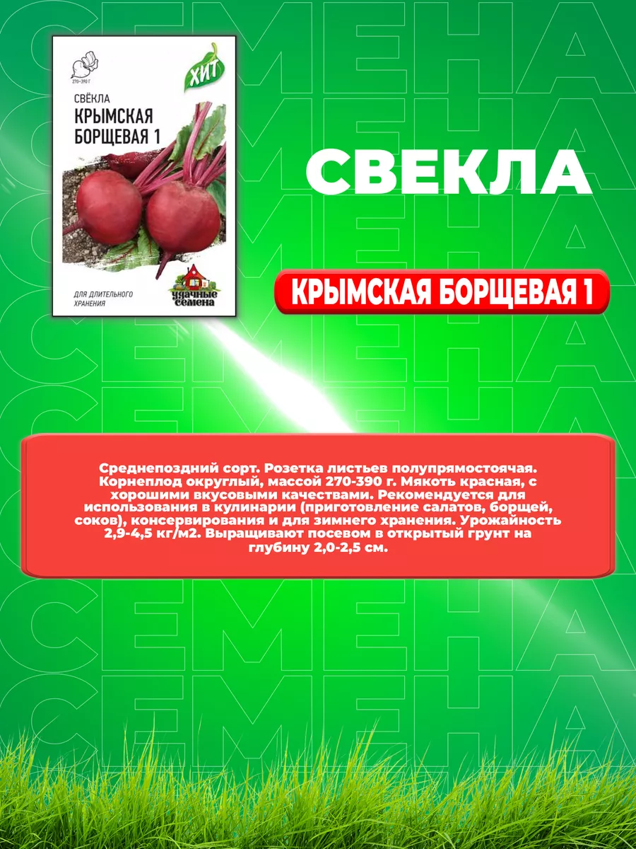 Свекла Крымская Борщевая 1, 2,0г, Удачные , х3 Удачные семена 65871471  купить за 151 ₽ в интернет-магазине Wildberries