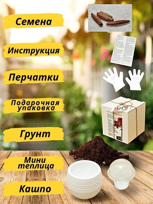 RuEl' Подарочный набор для выращивания растений адениум, вариант, фото 2