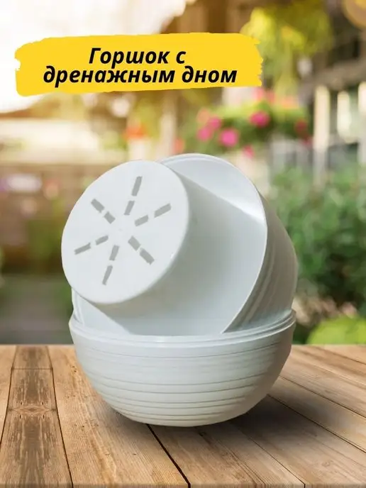 RuEl' Подарочный набор для выращивания растений адениум, вариант, фото 4