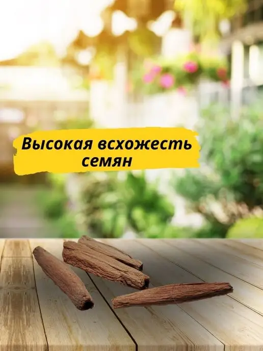 RuEl' Подарочный набор для выращивания растений адениум, вариант, фото 5