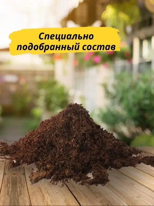 RuEl' Подарочный набор для выращивания растений адениум, вариант, фото 7