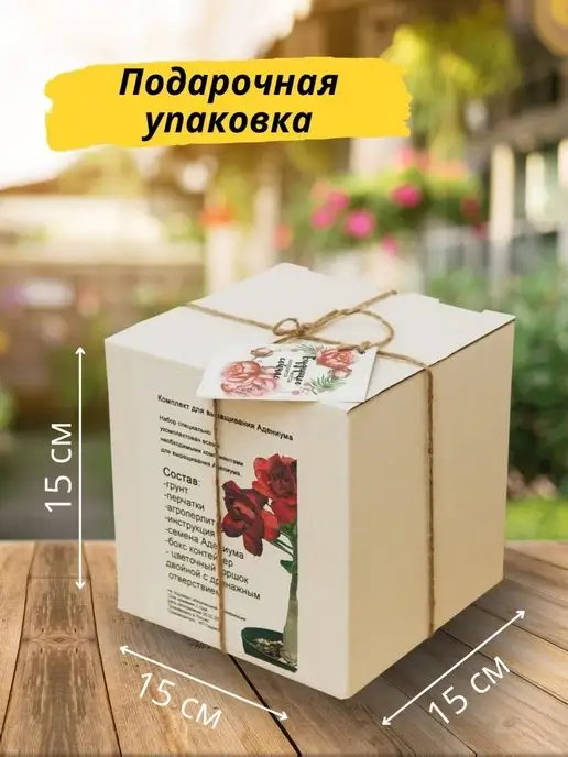 RuEl' Подарочный набор для выращивания растений адениум, вариант, фото 8