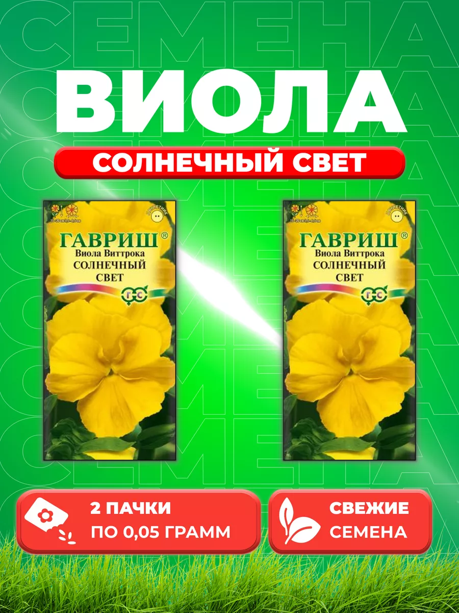 Виолла - солнечный день - 40 фото Виолла - солнечный день - 40 фото