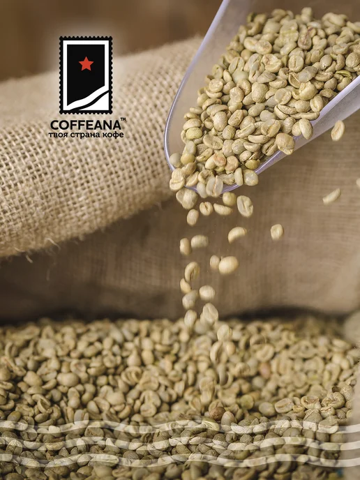 COFFEANA Кофе Бразилия Сантос 17 18 в зернах 250 гр, 250 г, фото 2