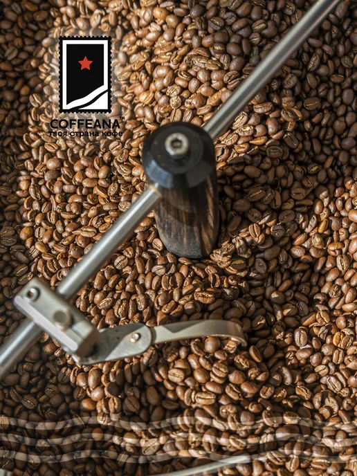 COFFEANA Кофе Бразилия Сантос 17 18 в зернах 250 гр, 250 г, фото 4