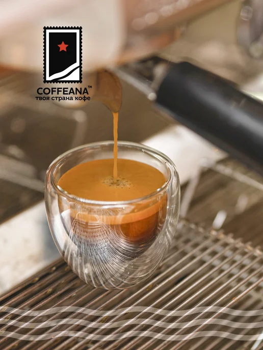 COFFEANA Кофе Бразилия Сантос 17 18 в зернах 250 гр, 250 г, фото 6