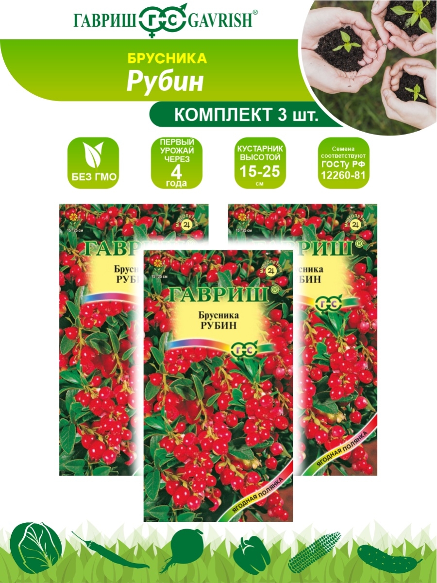 Брусника Рубин 20шт Гавриш. Сорт брусники Рубин. Семена брусника Рубин. Семена брусники фото. Семена брусники