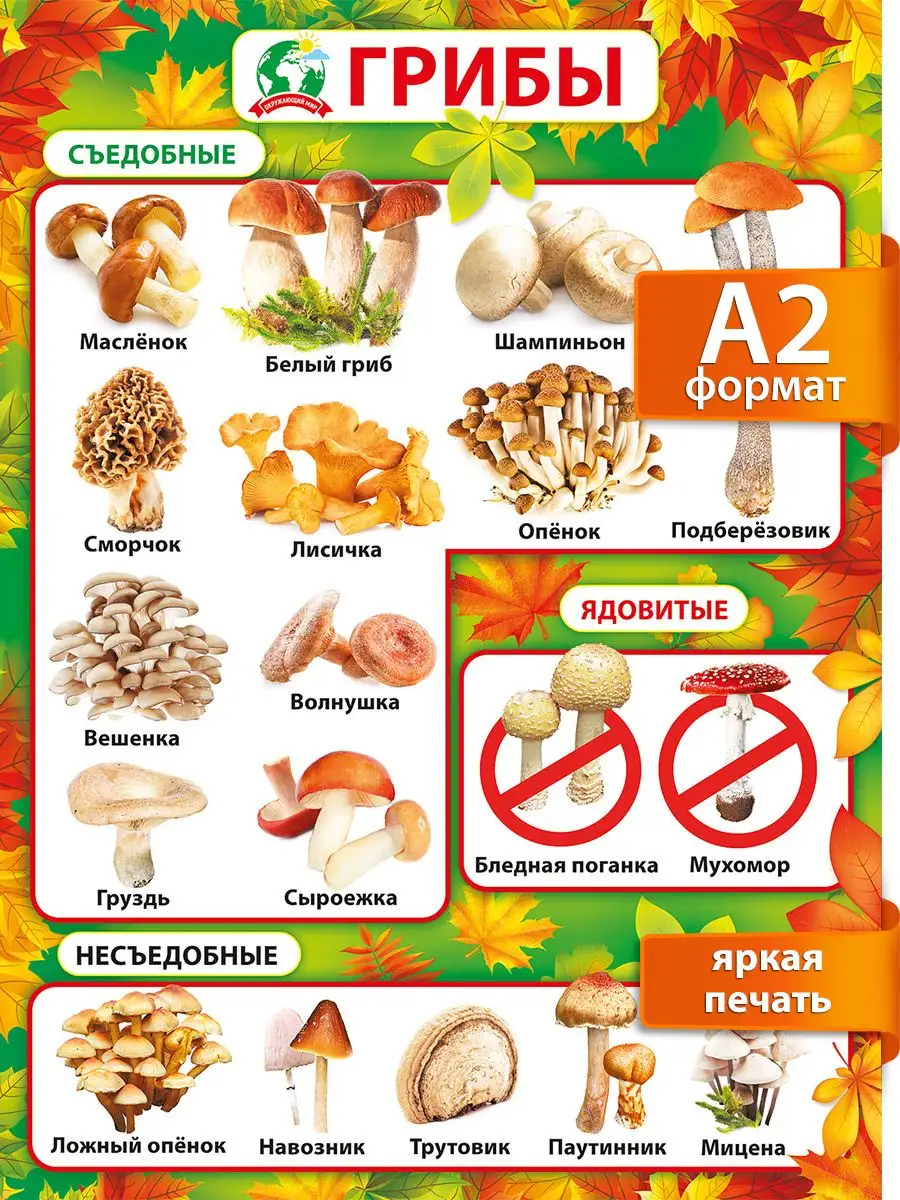 Тихая охота Газуни и Загули