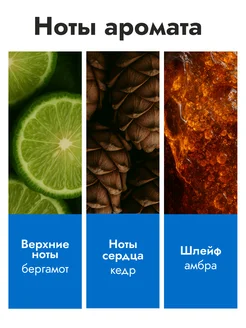 Туалетная вода X-SERIES FORCE 45 мл Эйвон оригинал AVON 65981508