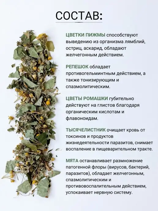Дивеевское подворье Антипаразитарный комплекс для человека сбор очищающий, вариант, фото 4